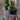 Vases
